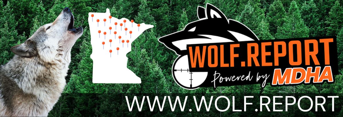 Wolf Report